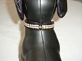 Arizon Velveteen Rhinestone Fancy Dog Collar  Black 12