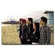 Paramore (Beach) Music Poster Print - 22x34