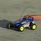 Team Losi 1/36 Micro-T RTR RC Stadium Truck
