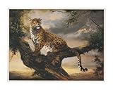 IMAGE OF Leopard In Tree MUSEUM WRAP CANVAS Print With Added Heavy BRUSHSTROKES Elvira Duran 20x16