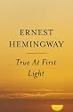 True At First Light : A Fictional Memoir