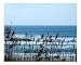 Morning Surf at Atlantic Beach - Digital Prints only for Sale - Poster size available. Photographic Poster Print by Jon Olson, 10x8 Image