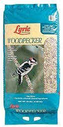 Lyric Woodpecker - 26-47289 - Bci
