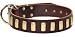 pointer26  - Dog Collar High Quality Leather With Brass Plates
