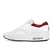 Nike Air Max 1 Premium sp 314252-113