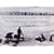 With Scott to the Pole: The Terra Nova Expedition, 1910-1913