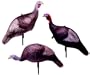 Flambeau Breeding Flock