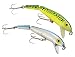 Original Jointed Thunderstick Rainbow