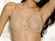 Wacoal Women's Halo Lace Seamless Underwire Bra #65149