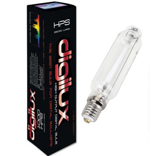 digilux