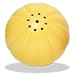 PetQwerks Talking Babble Ball Dog Toy, Large (Colors May Vary)