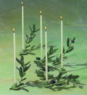 Three Light Olive Branch of Two