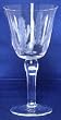 Individually Hand Etched Cactus Water Glass 8" Set / 4