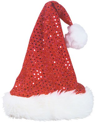 Fur Trimmed Youth Size Christmas Santa Red Sequins Hat