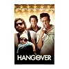The Hangover Movie (Some Guys Just Can't Handle Vegas) Poster Print - 24x36