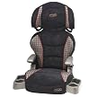 Evenflo Big Kid Booster Car Seat - Curtwood