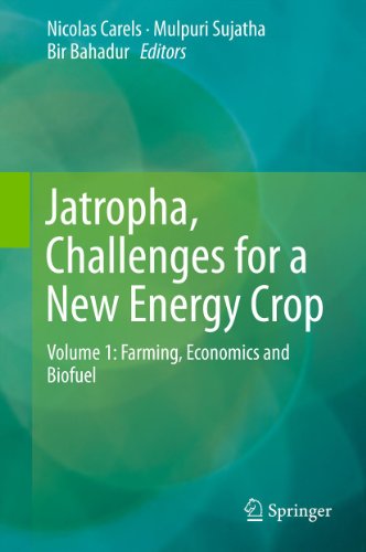 Jatropha, Challenges for a New Energy Crop: Volume 1: Farming, Economics and Biofuel