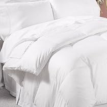 Appalachian 300-Thread-Count Full/Queen White Down Comforter