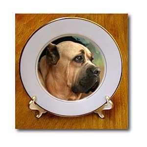Cane Corso - 8 Inch Porcelain Plate
