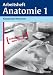 Arbeitsheft Anatomie 1 von Konstantin Wewetzer