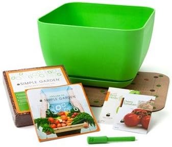 Simple Garden Square Planter Box Color: Green