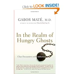 In the Realm of Hungry Ghosts: Close Encounters with Addiction