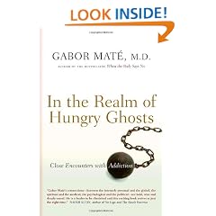 In the Realm of Hungry Ghosts: Close Encounters with Addiction