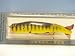 ** C.C. Roberts ** Super Mud Puppy - Perch Color