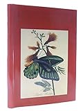 Butterflies, moths & other insects