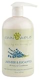Cain & Able Lavender Conditioning Shampoo - 16 Ounces