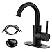 RKF Single-Handle Swivel Spout Bathroom Sink Faucet with Pop-up Drain with overflow and Supply Hose,Bar Sink Faucet,Small Kitchen Faucet Tap,Matte Black,BF3501P-MB