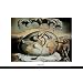 Geopoliticus Child Poster Print by Salvador Dal�, 36x24 Poster Print by Salvador Dal�, 36x24