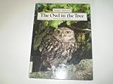 The owl in the tree