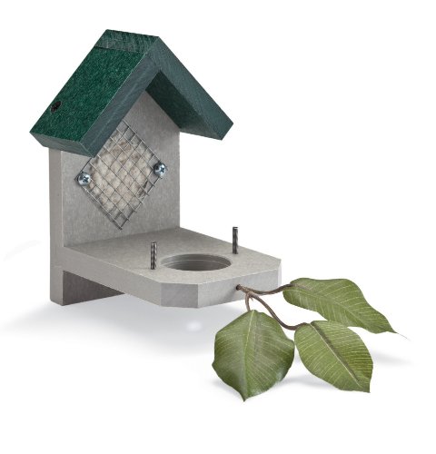 Duncraft Hummingbird House Nester