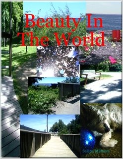 Beauty In The World