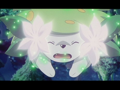 劇場版ポケットモンスター ダイヤモンド・パール「ギラティナと氷空の花束 シェイミ」 [DVD]