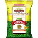 Pennington Seed 100086555 Sahara Bermudagrass Penkoted Grass Seed - 2 Pound Bag
