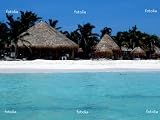 41fiqE0X87L. SL160  Mexico Yucatan Isla Mujeres Caribbean Wall Decal   24W x 18H Removable Graphic