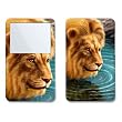 Thirsty Design Skin Decal Sticker for Apple iPod video 30GB/ 60GB/ 80GB Player