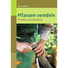 Pflanzen veredeln: Pfropfen und Okulieren