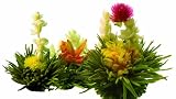 Compare Prices of Teas Etc S0601 8-Count Flowering Green-Tea Sampler by Teas Etc