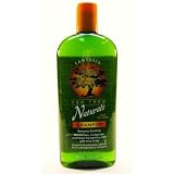 Fantasia Tea Tree Natural Shampoo 12 oz.
