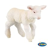 Merinos Lamb (子羊)