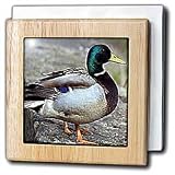 Duck - 6 Inch Tile Napkin Holder