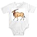 Onesie with derbianus, taurotragus