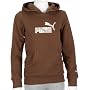 Puma Boys Hooded Sweat