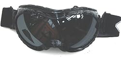 540 Park Ski/Snowboard Goggles