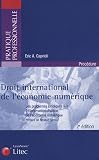 Revue Litec  / Droit international de l'économie numérique : Les problèmes juridiques liés à l'internationalisation de l'économie numérique