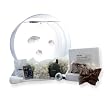 Jellyfish Art Desktop Jellyfish Tank, 3-Pack
