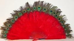 Red Marabou Feather Fan with Peacock Tips